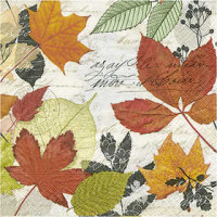 Table Napkins, size 33x33 cm, 20 pcs [HOB-23471]