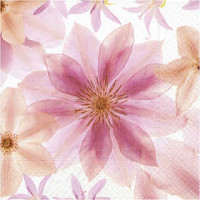 Table Napkins, size 33x33 cm, 20 pcs [HOB-23472]