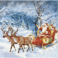 Table Napkins, size 33x33 cm, 20 pcs [HOB-23476]