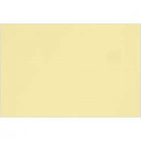 Französischer Karton, Blatt 500x650 mm,  160 g, Pale Yellow, 1Bl. [HOB-292101]