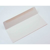 #10 Square Flap Premium Opaak 24,1 x 10,5cm (50 Stück) [E1D1]
