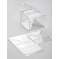 Klarsichtschachteln 10,2x10,2x10,2cm mit Automatikboden (25 Stück) [FPLB56]