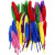 Federn, L 13 cm, Sortierte Farben, 48sort. [HOB-51817]