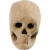 Totenkopf, H 10 cm, 1Stck [HOB-592572]