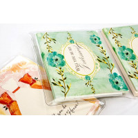 Vinyl Hüllen "Brieftasche Stil" 15,6x25,1cm (100 Stück) [VINA2]