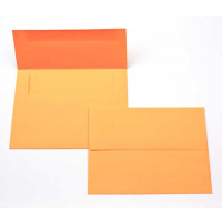 Umschläge Gold 22,2x14,6cm (50 Stück) [EC407]
